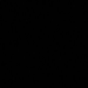 Meet your Posher, Priscilla